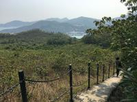 Path down towards Mui Wo