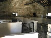 Animal enclosures and storage areas, kitchen block