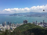 West Kowloon, photo-bombed by a butterfly