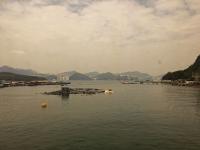 Wrecked fish farm and HK island through ferry's tinted windows